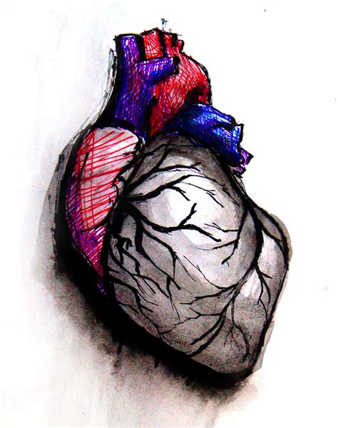 Heart Art | Page 4 | ECG Guru - Instructor Resources | Heart art ...