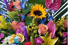 nomi di fiori esotici fiori pregiati e costosi a prezzo scontato compra nomi di fiori esotici fiori pregiati e costosi a prezzo scontato compra