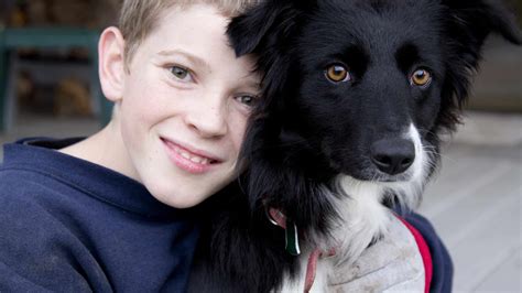 Are Border Collies Good With Kids? What Parents Need To Know – Moms Who ...