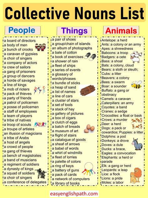 Comprehensive List of English Collective Nouns with Examples