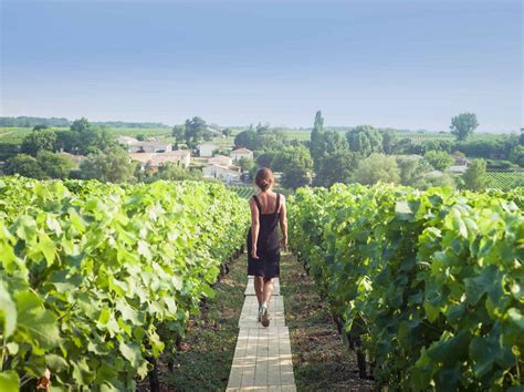 Growth Trend: Bordeaux Vineyard Tourism - Vineyards Bordeaux