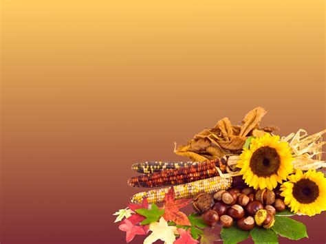 BouglLe GalLery: Free Thanksgiving Wallpaper