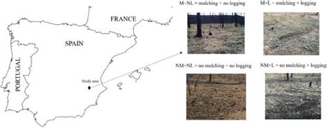 The Impacts of Post-Fire Straw Mulching and Salvage Logging on Soil ...