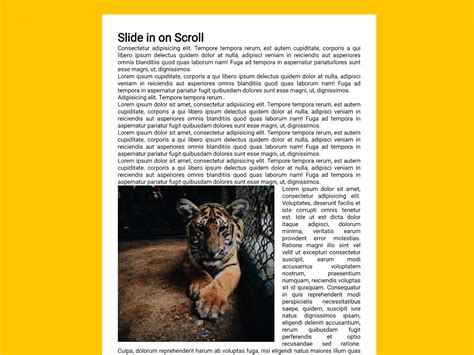 Animate JavaScript 的图像结果