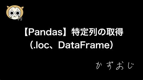 Loc Pandas Python 的图像结果