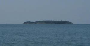 Snake Stories of the Lake Erie Islands - April 1947 - National Museum ...