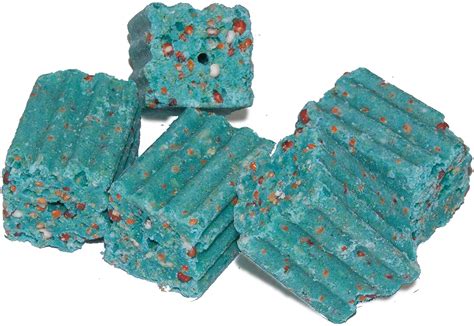 5 Best Rat Poisons Review and Buyer’s Guide - SolidSmack