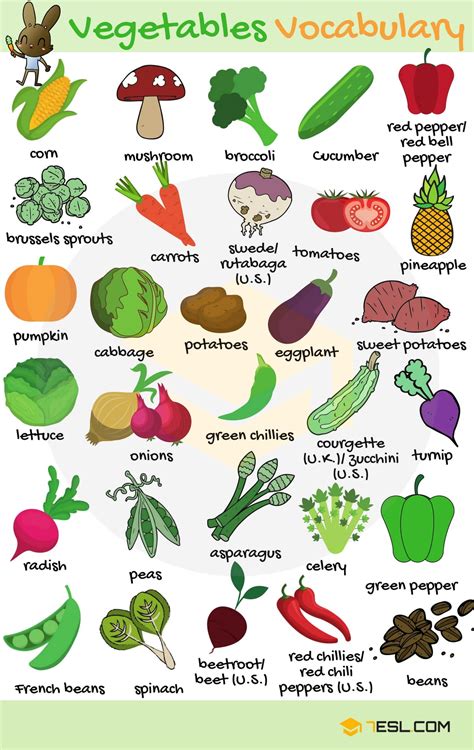 List of Vegetables: Useful Vegetable Names in English with Images • 7ESL