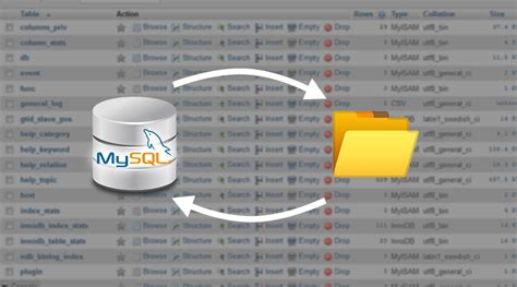 MySQL How to Import Database 的图像结果