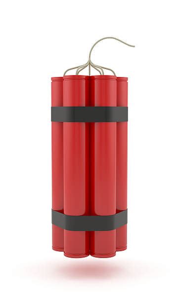 Image result for Dynamite Waste Management