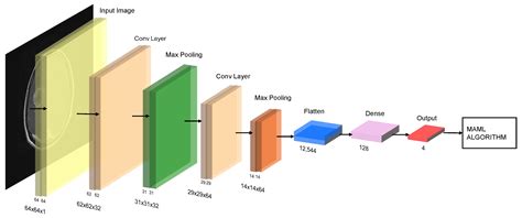 Evaluating Machine Learning Techniques for Brain Tumor Detection with ...