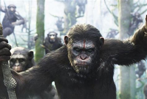 《猩球崛起4》-猩球王国在澳大利亚开拍 2024年北美上映 - 哔哩哔哩