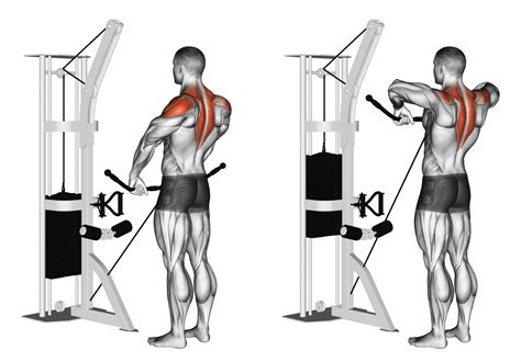 17 Cable Shoulder Exercises for Chiseled Delts | Nutritioneering