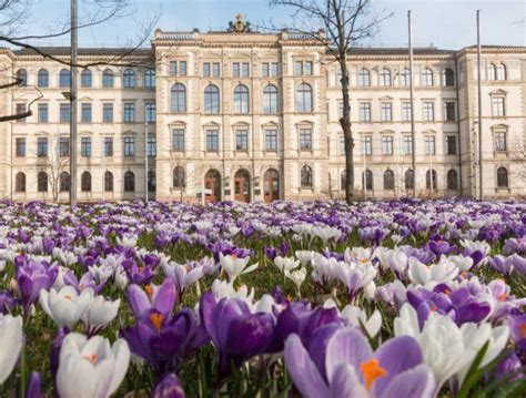 Chemnitz University of Technology - Courses, Exam, Admission & More