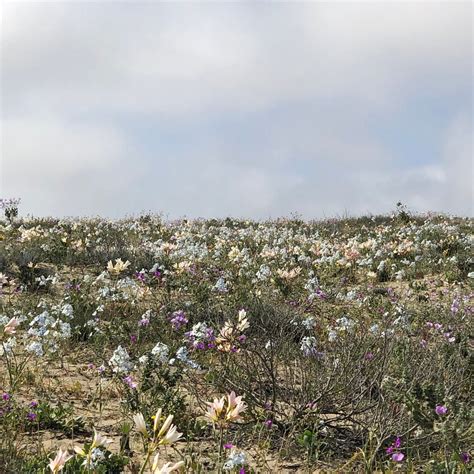 INDIAN VALLEY EXPLORERS (2025) All You Need to Know BEFORE You Go (with ...