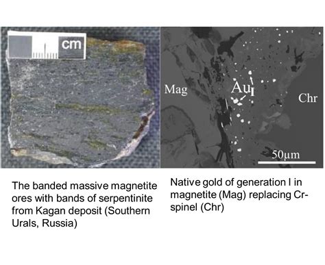 Formation of Au-Bearing Antigorite Serpentinites and Magnetite Ores at ...