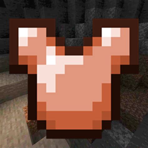 Image result for Minecraft Copper Update Logo
