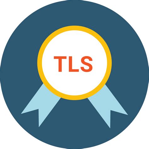 Image result for SSL/TLS Icon