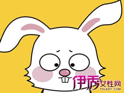【生肖兔】【图】生肖兔好工作方向是什么 揭秘今年属兔的事业运_伊秀星座|yxlady.com