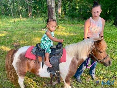 10 Places for Pony Rides and Pony Parties Near Chicago