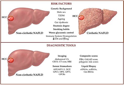An Overview of Hepatocellular Carcinoma Surveillance Focusing on Non ...