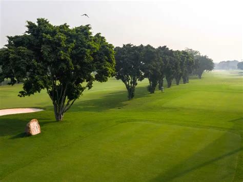 SGDC INDIA | India's Top Golf Course Construction | Irrigation ...