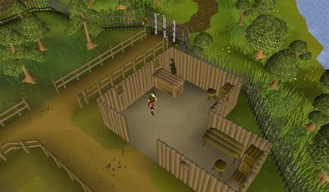 Ultimate Guide to Buying a Rune Axe in OSRS - OSRS Money Making Guide