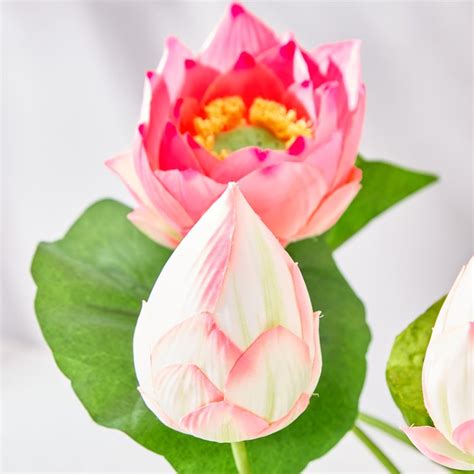 Buy Gloria Lotus Artificial Flowers in Wood Plant from Home Centre at ...
