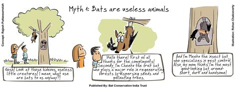 Myths about Bats – Bat Conservation India Trust