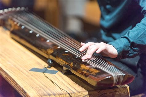 Chinese String Instrument