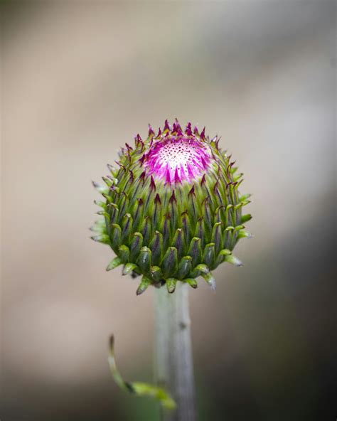 Law Wallpaper 4K 的图像结果