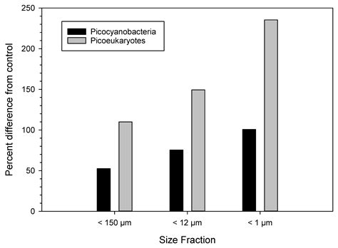 Urea Inputs Drive Picoplankton Blooms in Sarasota Bay, Florida, U.S.A.