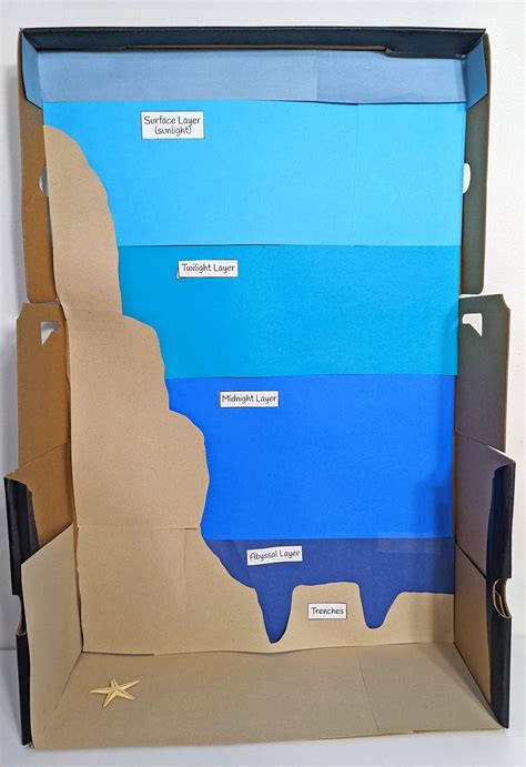 Ocean Floor Diorama Examples Creation Model And Sea Floor Studies
