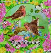 Image result for Animals Saying Good Morning GIF