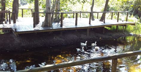 GALAXY FOREST LODGE (Manguzi) - Lodge Reviews & Photos - Tripadvisor