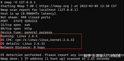 NetBox and Nmap 的图像结果