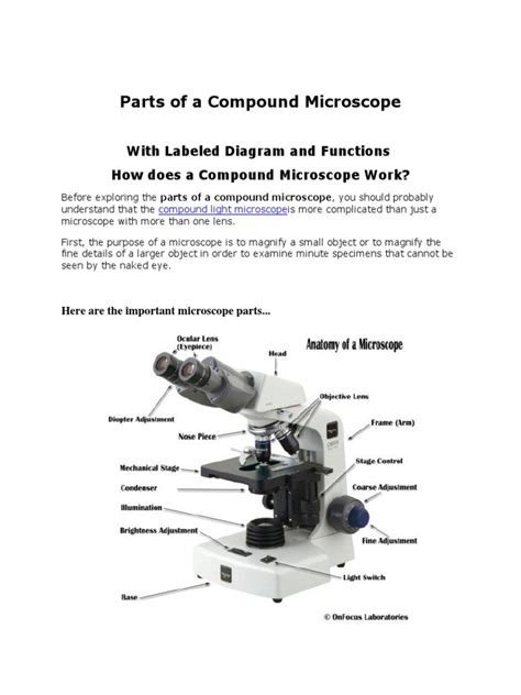 Microscope Part 的图像结果