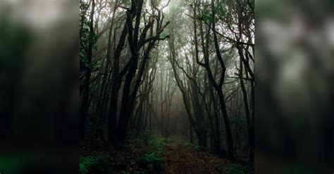 Mainpat, Chattisgarh | LBB