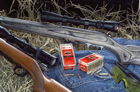 Image result for 17 HMR Exploding