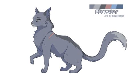 Warrior Cat Drawings Bluestar