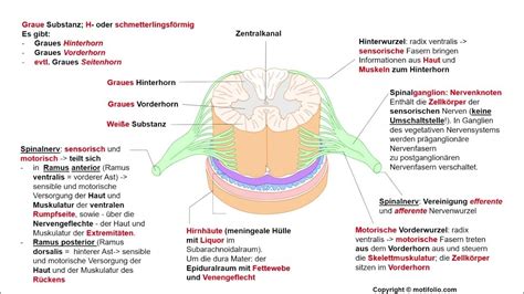 Image result for HTML and CSS and JavaScript