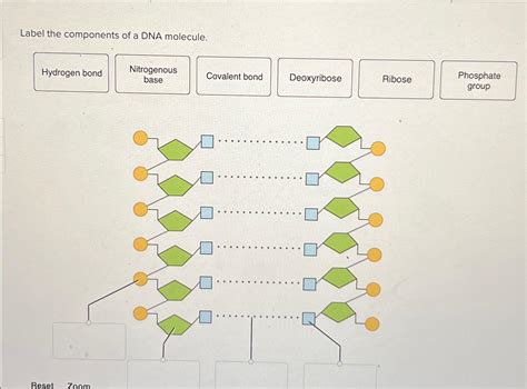 DNA Label 的图像结果