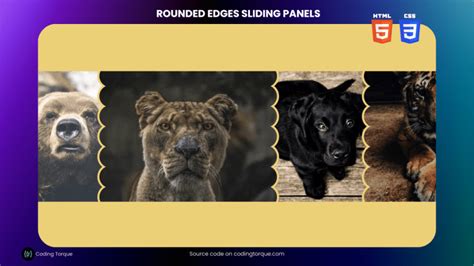 How Can You Code Carousel with HTML and CSS 的图像结果