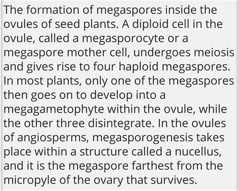 define megasporogenesis? - Brainly.in