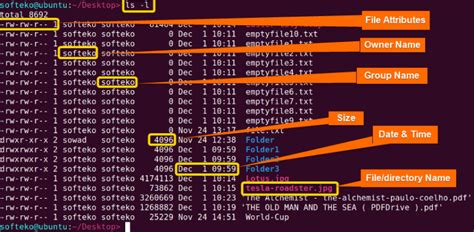 Image result for Unix Ls Command Examples