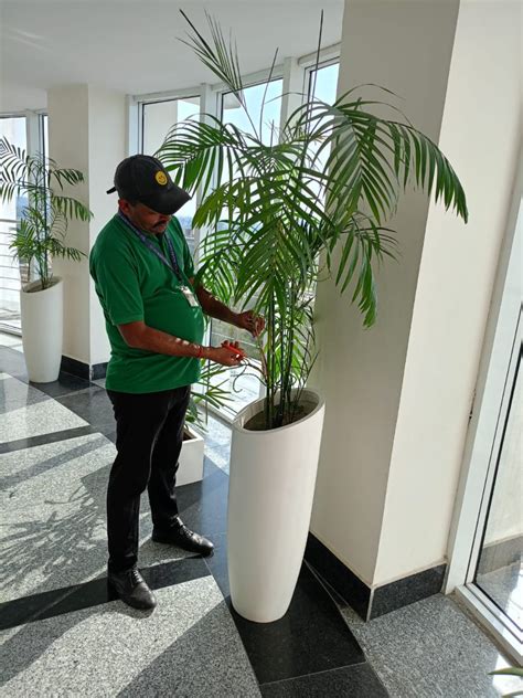 Green Grow Nursery - Environmental & Landscaping Solutions