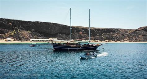 Djibouti Pictures - Traveller Photos of Djibouti - Tripadvisor