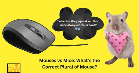 Mouses vs Mice Whats the Correct Plural of Mouse