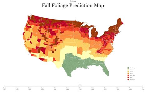 Your 2022 fall foliage outlook