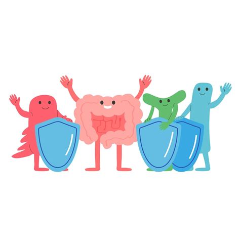 Gut illustration Images - Free Download on Freepik